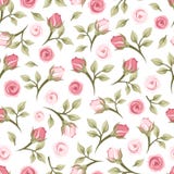 Teste padrão sem emenda com rosas. ilustração stock Teste padrão sem emenda com rosas. ilustração stock