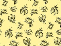 Teste padrão sem emenda das flores do ylang do ylang ilustração royalty free Teste padrão sem emenda das flores do ylang do ylang ilustração royalty free