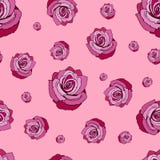 Teste padrão sem emenda das rosas Teste padrão sem emenda com rosas vermelhas em um fundo cor-de-rosa Rosas vermelhas em um fundo ilustração do vetor Teste padrão sem emenda das rosas Teste padrão sem emenda com rosas vermelhas em um fundo cor-de-rosa Rosas vermelhas em um fundo ilustração do vetor