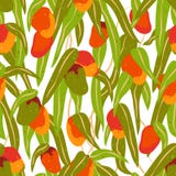 Teste padrão sem emenda de frutos e de folhas da manga ilustração stock Teste padrão sem emenda de frutos e de folhas da manga ilustração stock