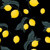 Teste padrão sem emenda do verão tropico com ramos dos limões Teste padrão floral da selva ilustração royalty free Teste padrão sem emenda do verão tropico com ramos dos limões Teste padrão floral da selva ilustração royalty free