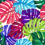 Teste padrão sem emenda do vetor com folhas tropicais Textura tropical Fundo repetível floral da selva Folhas de Monstera ilustração royalty free Teste padrão sem emenda do vetor com folhas tropicais Textura tropical Fundo repetível floral da selva Folhas de Monstera ilustração royalty free