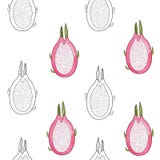 Teste padrão sem emenda do vetor com fruto do dragão ilustração do vetor Teste padrão sem emenda do vetor com fruto do dragão ilustração do vetor