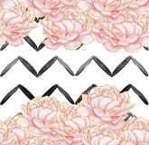 Teste padrão sem emenda - listras pretas geométricas com as peônias cor-de-rosa no fundo branco ilustração stock Teste padrão sem emenda - listras pretas geométricas com as peônias cor-de-rosa no fundo branco ilustração stock
