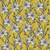 Teste padrão sem emenda tirado mão com lilly as flores ilustração royalty free Teste padrão sem emenda tirado mão com lilly as flores ilustração royalty free