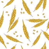 Teste padrão tirado das orelhas do trigo mão sem emenda isolado no fundo branco como o elemento do projeto de pacote ilustração stock Teste padrão tirado das orelhas do trigo mão sem emenda isolado no fundo branco como o elemento do projeto de pacote ilustração stock