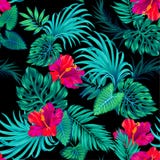 Teste padrão tropical do vetor com palmas e hibiscus ilustração royalty free Teste padrão tropical do vetor com palmas e hibiscus ilustração royalty free