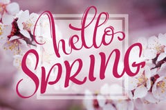 Text Hello Spring. Calligraphy lettering and Beautiful branch of a blossoming tree on background Royalty Free Stock Photos Text Hello Spring. Calligraphy lettering and Beautiful branch of a blossoming tree on background Royalty Free Stock Photos