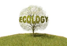 Texto da ecologia em uma árvore ilustração do vetor Texto da ecologia em uma árvore ilustração do vetor