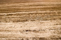 Textur av brunt fossiliserade jord med lappar av gräs, torkat gräs royaltyfri fotografi Textur av brunt fossiliserade jord med lappar av gräs, torkat gräs royaltyfri fotografi