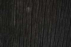 Textur av skället, wood kornbakgrund royaltyfria bilder Textur av skället, wood kornbakgrund royaltyfria bilder