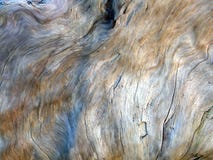 textur för driftwood 2 royaltyfri bild textur för driftwood 2 royaltyfri bild