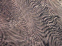 Textura da tela imagens de stock royalty free Textura da tela imagens de stock royalty free