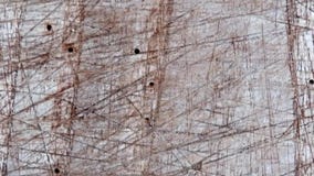 Textura de madera al aire libre Textura de madera al aire libre