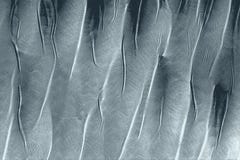Textura erizada de las plumas alineadas para un fondo imagenes de archivo Textura erizada de las plumas alineadas para un fondo imagenes de archivo