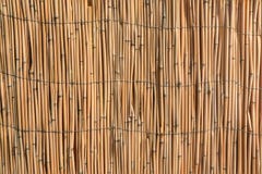 Texturbakgrund för design av vasser arkivbilder Texturbakgrund för design av vasser arkivbilder