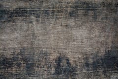 Texture of bark, wood grain background