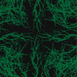 Vector texture, abstract background, silhouette of tree branches vector illustration Vector texture, abstract background, silhouette of tree branches vector illustration