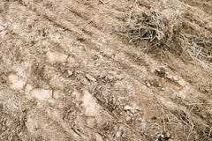 Texture of brown fossilized earth with patches of grass, dried grass stock photography Texture of brown fossilized earth with patches of grass, dried grass stock photography