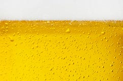 Texture de bière Texture de bière