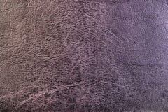 Texture de cuir gris photographie stock Texture de cuir gris photographie stock