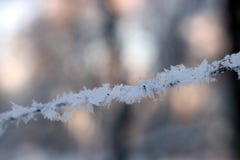 Texture de fin de gel vers le haut - des branches d'arbre noires et de la neige blanche, fros de dentelle d'hiver photo stock Texture de fin de gel vers le haut - des branches d'arbre noires et de la neige blanche, fros de dentelle d'hiver photo stock