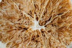 Texture of dried citrus.Macro Royalty Free Stock Photography Texture of dried citrus.Macro Royalty Free Stock Photography
