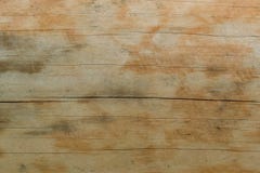 Texture of a natural tree with an unusual structure stock images Texture of a natural tree with an unusual structure stock images