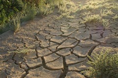 Texture Of Drought Royalty Free Stock Images