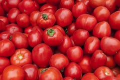 Texture rouge de récolte des tomates photos stock Texture rouge de récolte des tomates photos stock
