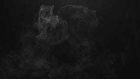 Texture of smoke of electronic vapour cigarette