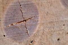 Wooden pattern and cracked wood stock photos Wooden pattern and cracked wood stock photos