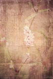 Textured Floral Background royalty free illustration Textured Floral Background royalty free illustration
