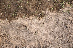 Textuur van de grond klaar voor het planten stock afbeeldingen Textuur van de grond klaar voor het planten stock afbeeldingen