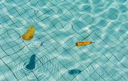 Textuur van water in de pool stock foto Textuur van water in de pool stock foto