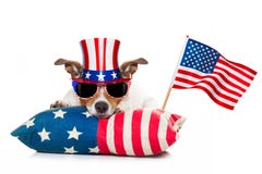 4th av den juli självständighetsdagenhunden arkivfoton 4th av den juli självständighetsdagenhunden arkivfoton