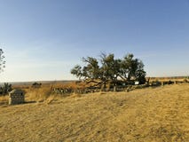 Thaba Bosiu Lesotho arkivbild Thaba Bosiu Lesotho arkivbild