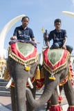 THAILAND ISAN SURIN ELEPHANT FESTIVAL ROUND UP Stock Images THAILAND ISAN SURIN ELEPHANT FESTIVAL ROUND UP Stock Images