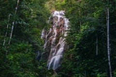 Thani enorme di Koh Phangan Thailand Surat della cascata di Phaeng fotografia stock libera da diritti Thani enorme di Koh Phangan Thailand Surat della cascata di Phaeng fotografia stock libera da diritti