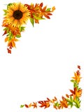 Thanksgiving Border Stock Photos Thanksgiving Border Stock Photos