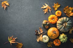 Thanksgiving Day Or Seasonal Autumnal Background With Pumpkins A Royalty Free Stock Photography Thanksgiving Day Or Seasonal Autumnal Background With Pumpkins A Royalty Free Stock Photography