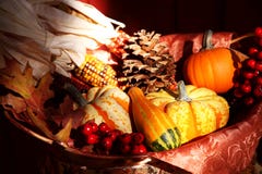 Fall Thanksgiving Harvest Basket Stock Images - Image: 5815584