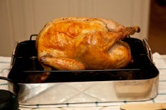 Thanksgiving turkey stock images Thanksgiving turkey stock images