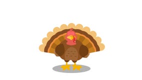 Thanksgiving Turkey Bird Cartoon Character