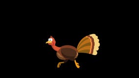 Thanksgiving Turkey Bird Cartoon Character Running