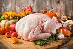 Thanksgiving Turquie photos libres de droits Thanksgiving Turquie photos libres de droits
