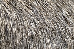 Thatched roof of old umbrella closeup royalty free stock photos Thatched roof of old umbrella closeup royalty free stock photos