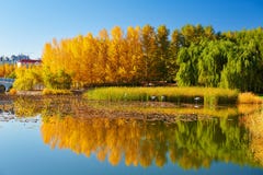 The Autumn Lakeside Landscape Stock Photos