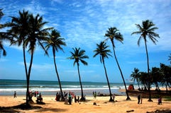 The Beach Of Goa-India. Stock Photos