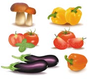The Big Colorful Group Of Vegetables. Stock Image The Big Colorful Group Of Vegetables. Stock Image